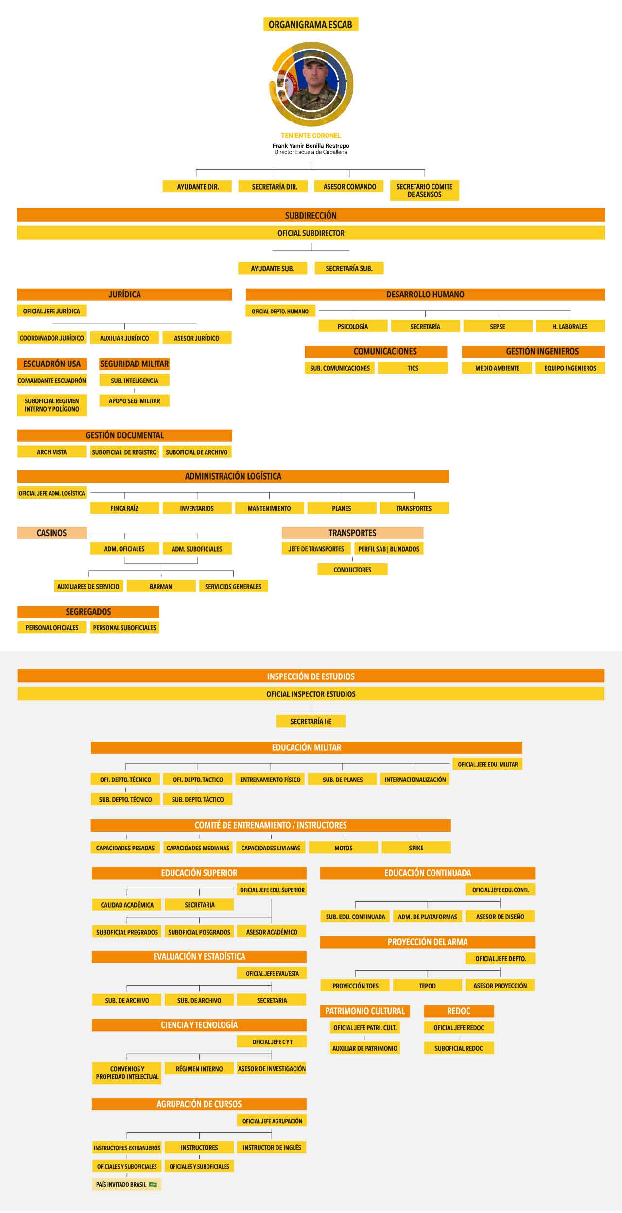 Estructura Orgánica