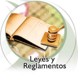 Normatividad
