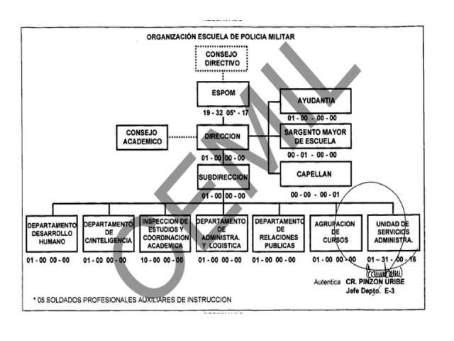 Organización Espom