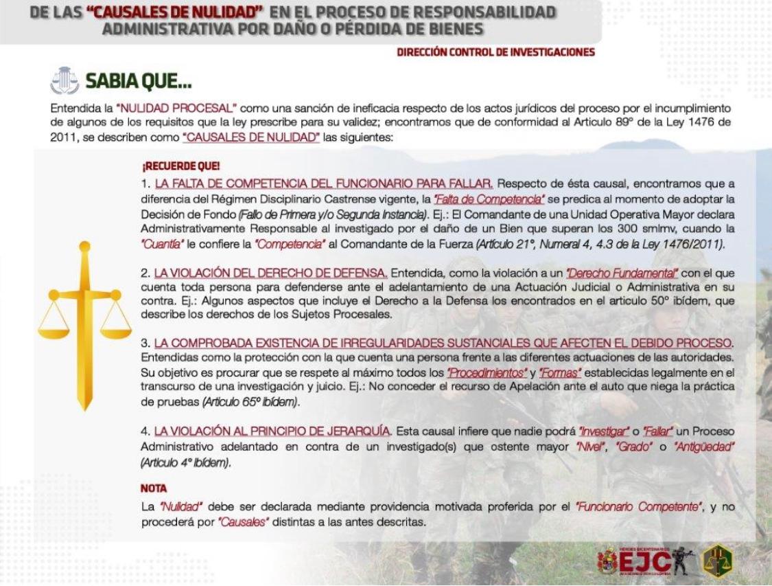 29. De las causales de nulidad en el proceso de responsabilidad administrativa por daño o perdida d bienes