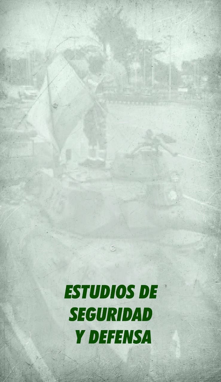 Estudios de Seguridad y Defensa