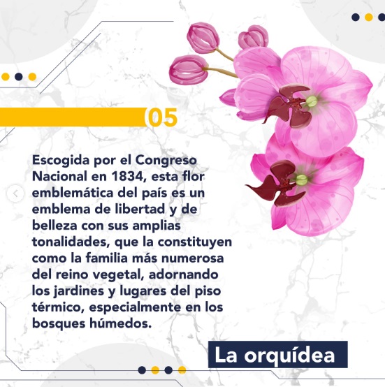 La Orquídea
