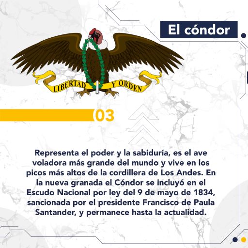 El Cóndor