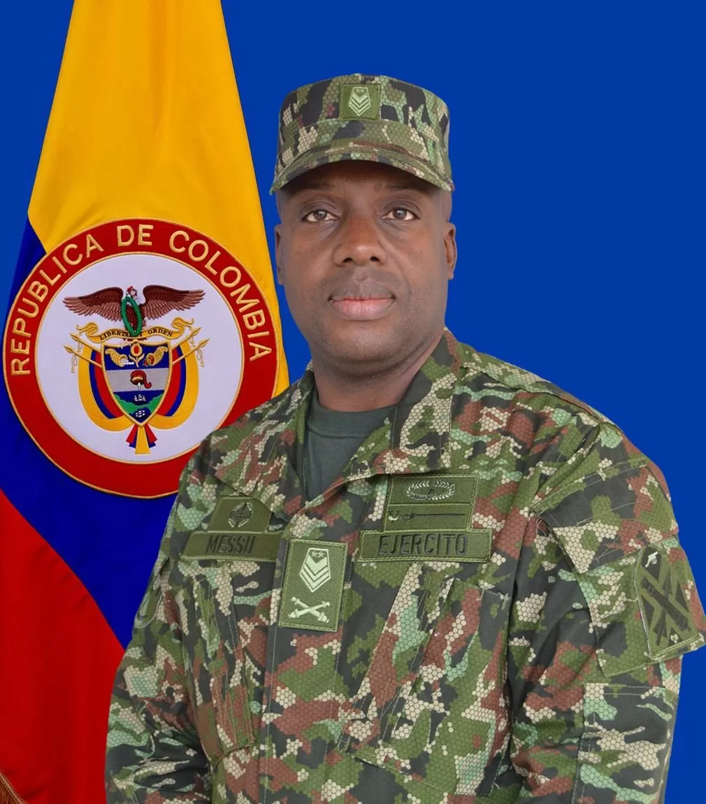Asesor de Comando Escuela de Artillería