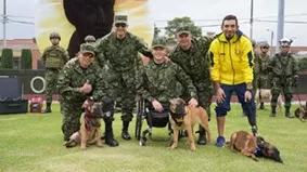 Amigos de cuatro patas tendrán un nuevo hogar: serán el soporte de militares víctimas del conflicto