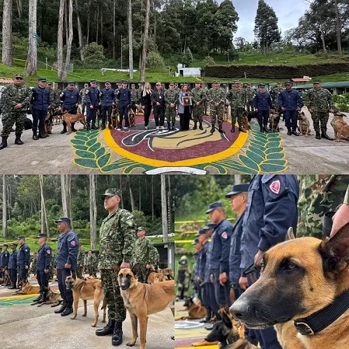 La Escuela de Ingenieros Militares fortalece las capacidades de los soldados del Ejército Nacional