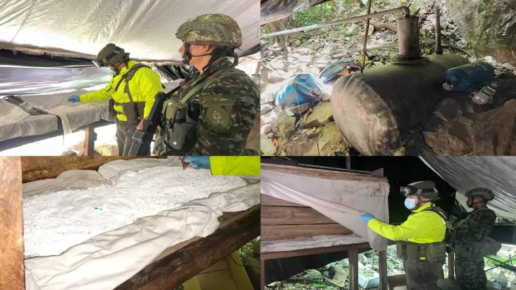 Enclaves cocaleros, un ecocidio en la biodiversidad de Colombia: cómo el Ejército Nacional lo contrarresta