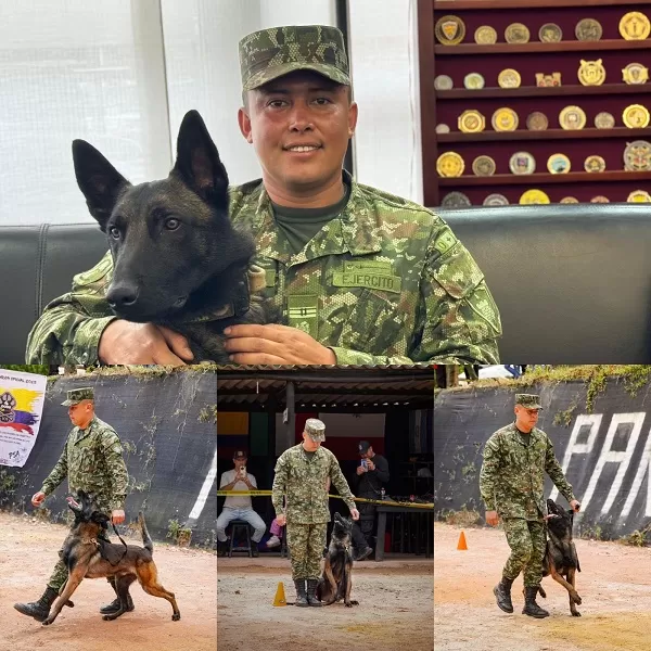 Escuela de Ingenieros Militares lidera en pruebas tácticas caninas a nivel internacional