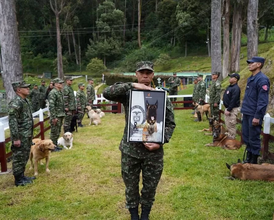 Sansón no cayó: Se inmortalizó en la historia del deber cumplido