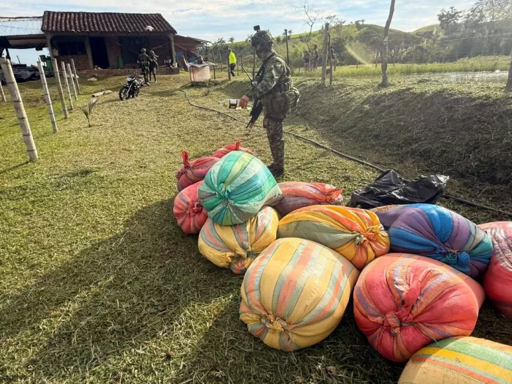 Ejército Nacional pone al descubierto nueva modalidad de producción de cocaína en Colombia