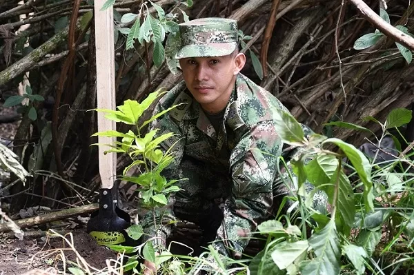 La Escuela de Comunicaciones Militares impulsa jornada ambiental para sembrar vida en Facatativá