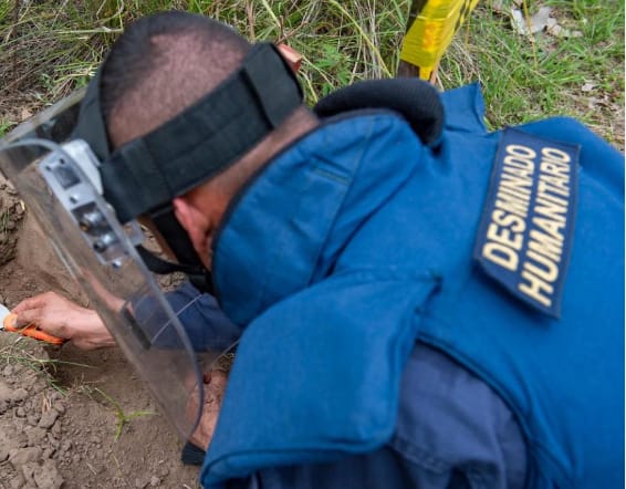 BRIGADA DE INGENIEROS DE DESMINADO HUMANITARIO
