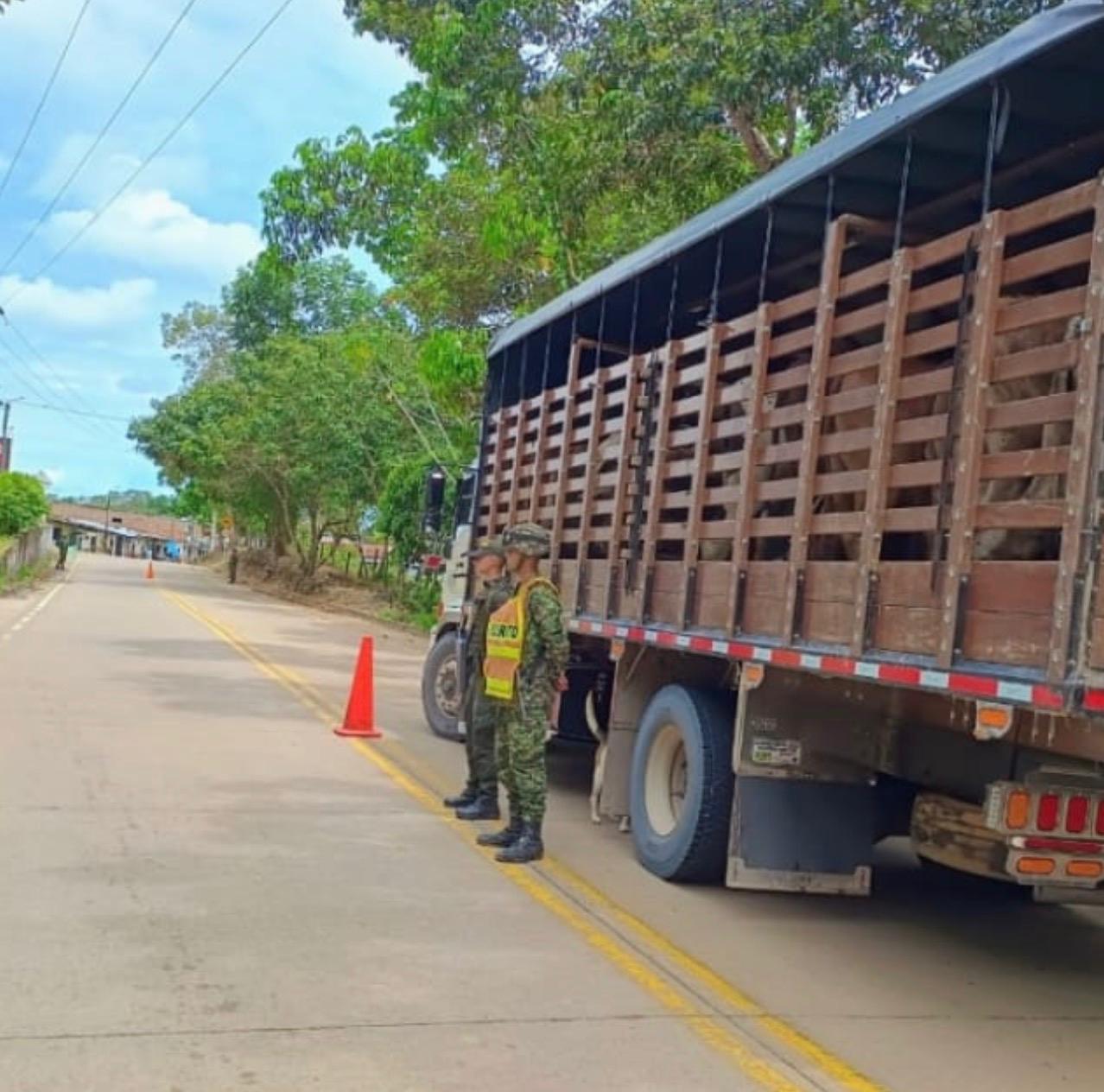 Sexta División del Ejército Nacional recuperó 66 semovientes bovinos y refuerza el control contra la movilización ilegal de ganado en San Vicente del Caguán, Caquetá