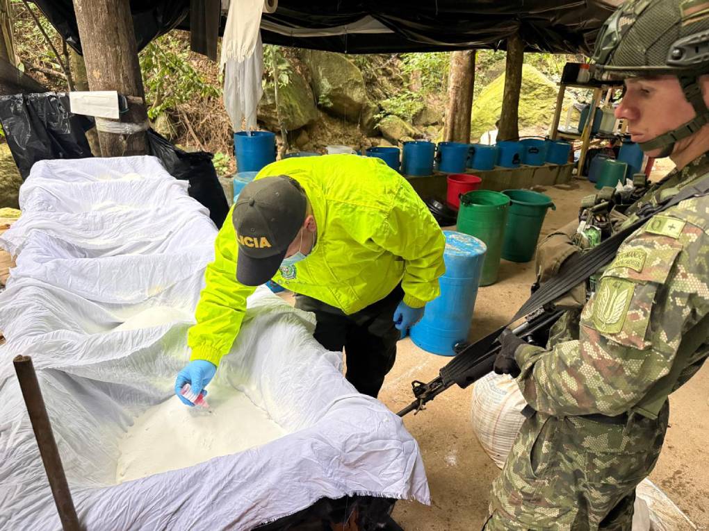 En Norte de Santander, el Ejército Nacional neutralizó complejo cocalero que comercializaba droga en Colombia