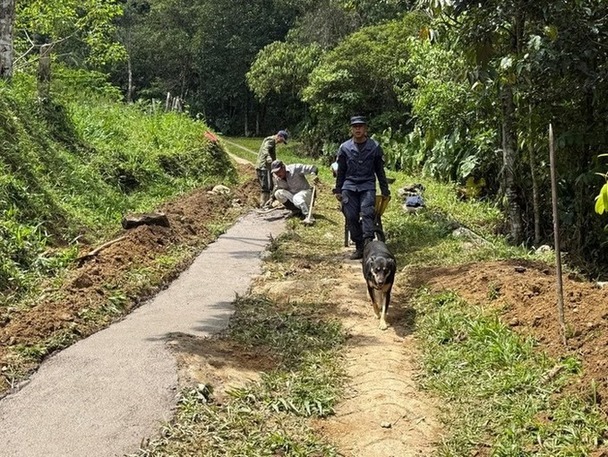 El Batallón de Ingenieros de Desminado Humanitario N.º 7: más que desminar, siembra esperanza en el Oriente antioqueño