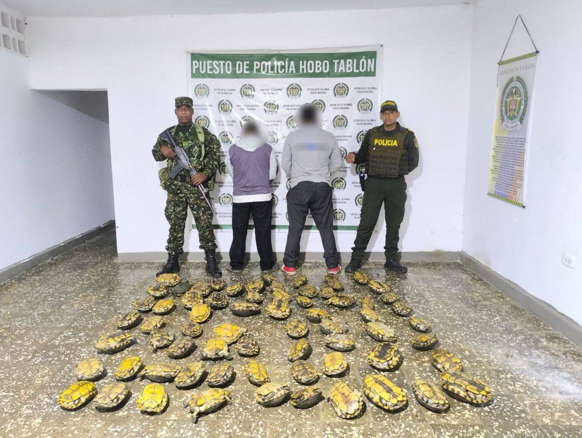 En Sahagún, Córdoba, Ejército y Policía Nacional capturaron a dos sujetos con más de 60 hicoteas en su poder