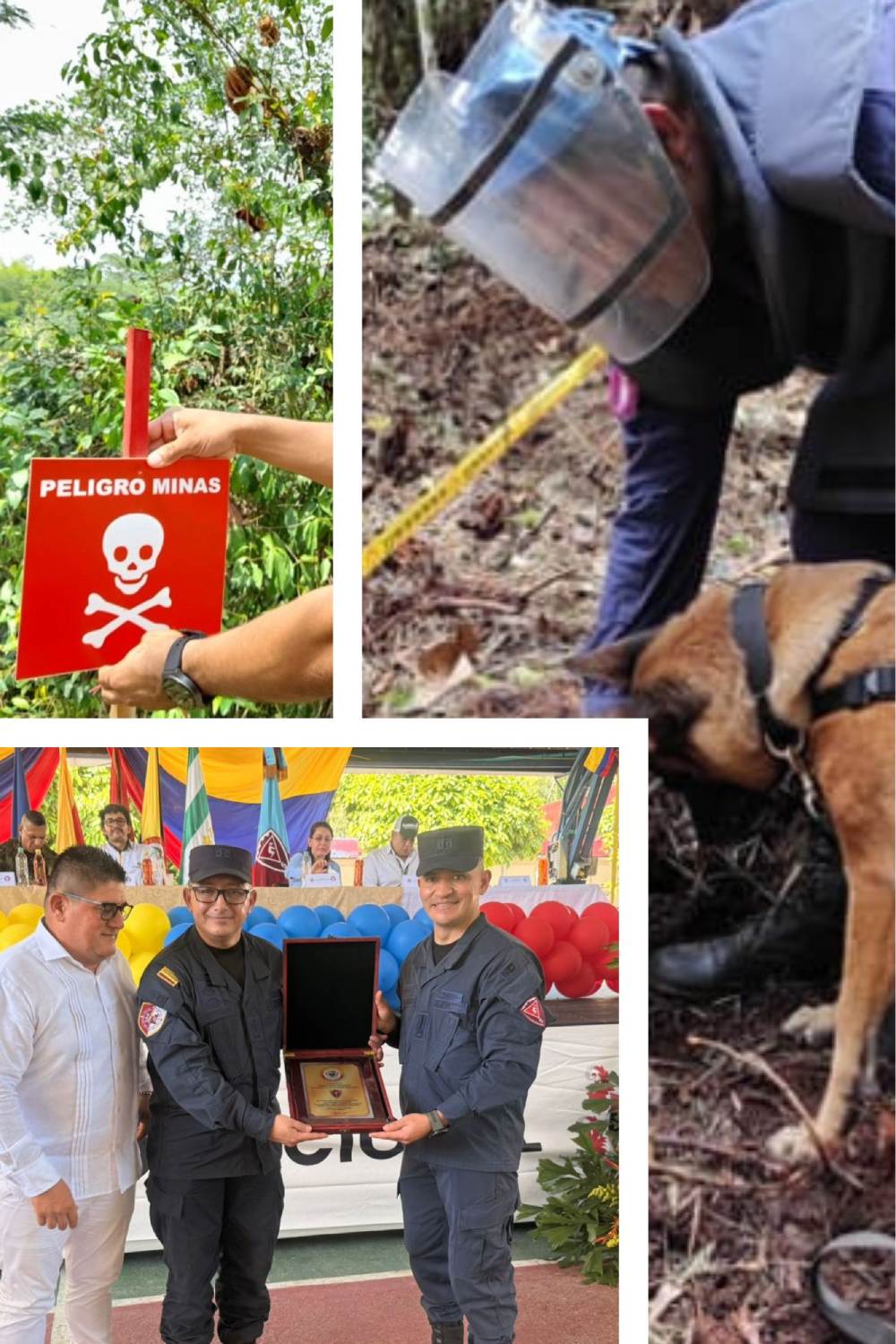 77 veredas del departamento del Caquetá quedaron libres de sospecha de minas antipersonal