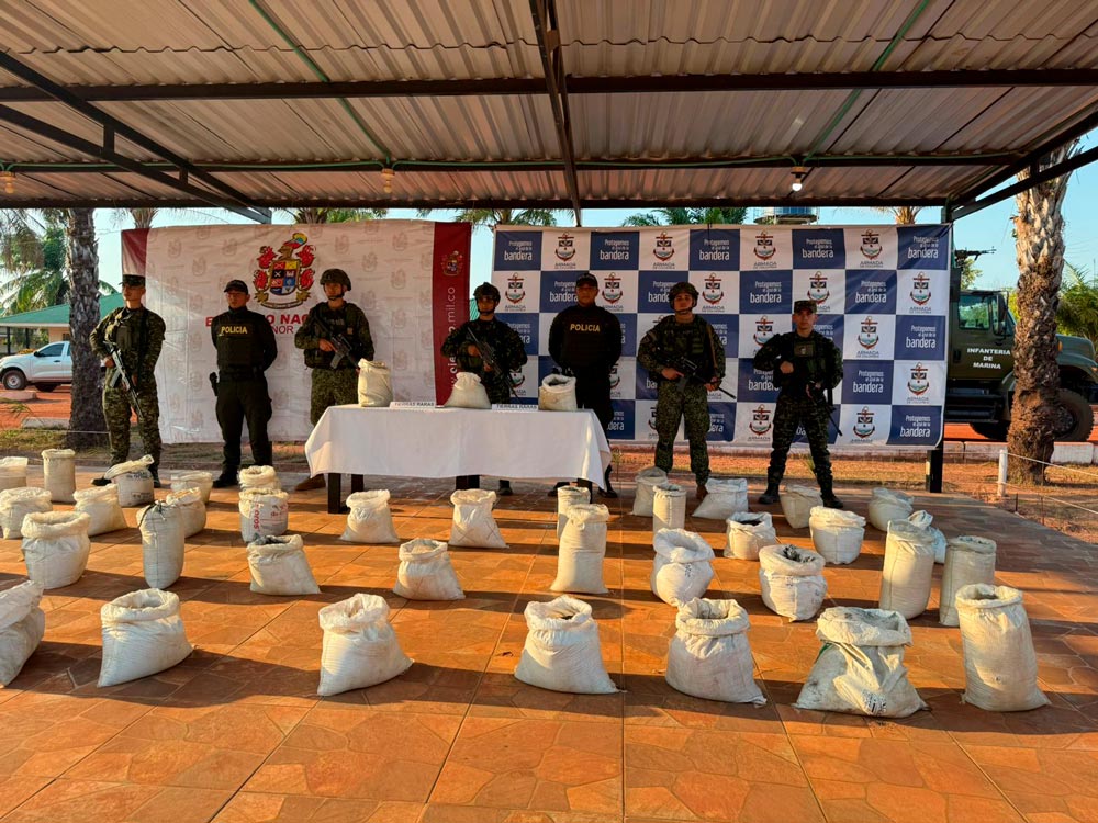 Ejército Nacional incauta cinco toneladas de tierras raras en el departamento del Vichada