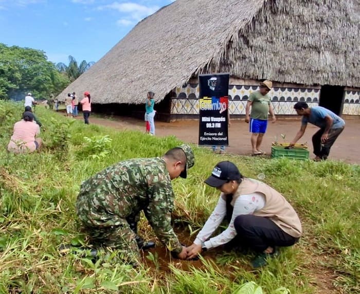 Ejército Nacional impulsa jornada de siembra para la conservación de la  Amazonía