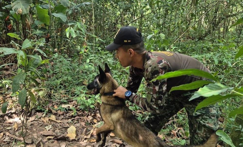 Hombre y perro: un binomio que fortalece las capacidades operacionales del Ejército Nacional