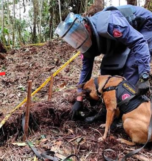 Brigada de Ingenieros de Desminado Humanitario