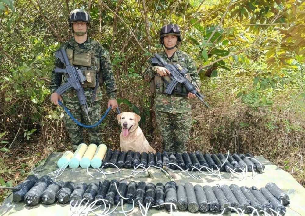 Ejército Nacional neutralizó amenaza terrorista con 100 kilogramos de explosivos en Barbacoas