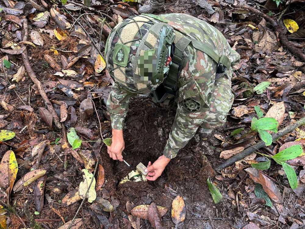 Ejército Nacional frustró posible acción terrorista al ubicar 30 explosivos en El Tambo, Cauca