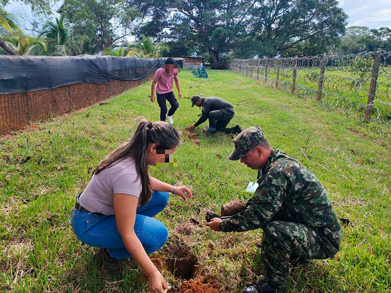 Ejército Nacional lidera jornada de siembra de 3.000 plántulas en Guaviare
