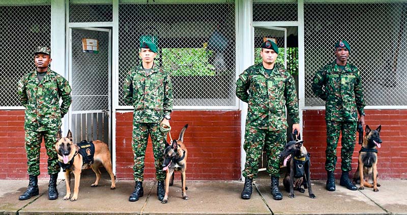 Héroes de cuatro patas al servicio de la seguridad en Meta, Guaviare y Vaupés