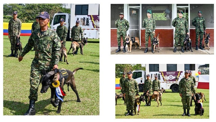 Héroes de cuatro patas al servicio de la seguridad en Meta, Guaviare y Vaupés
