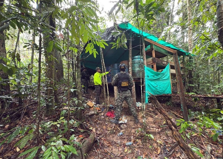 The National Army and National Police dismantled a cocaine paste production facility in a rural area of Santander