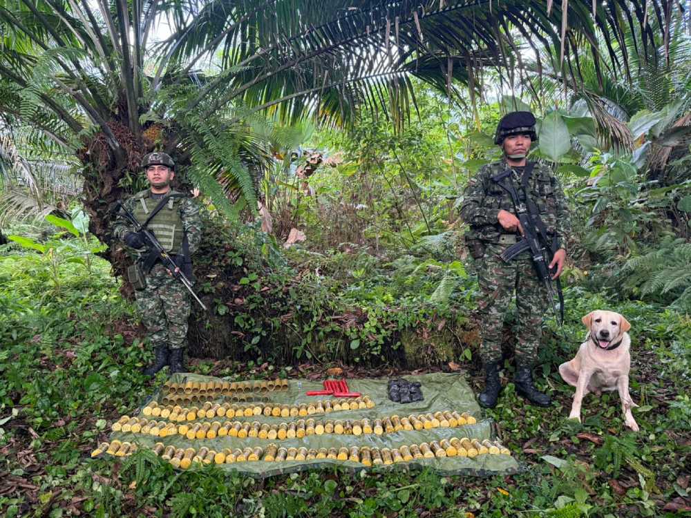 Ejército Nacional ubicó depósito ilegal con 252 dispositivos explosivos improvisados activados por la víctima y material para fabricar explosivos artesanales en Tumaco, Nariño