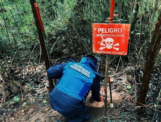 Ejército Nacional destruyó cinco artefactos explosivos en el Meta y continúa salvando vidas mediante el desminado humanitario