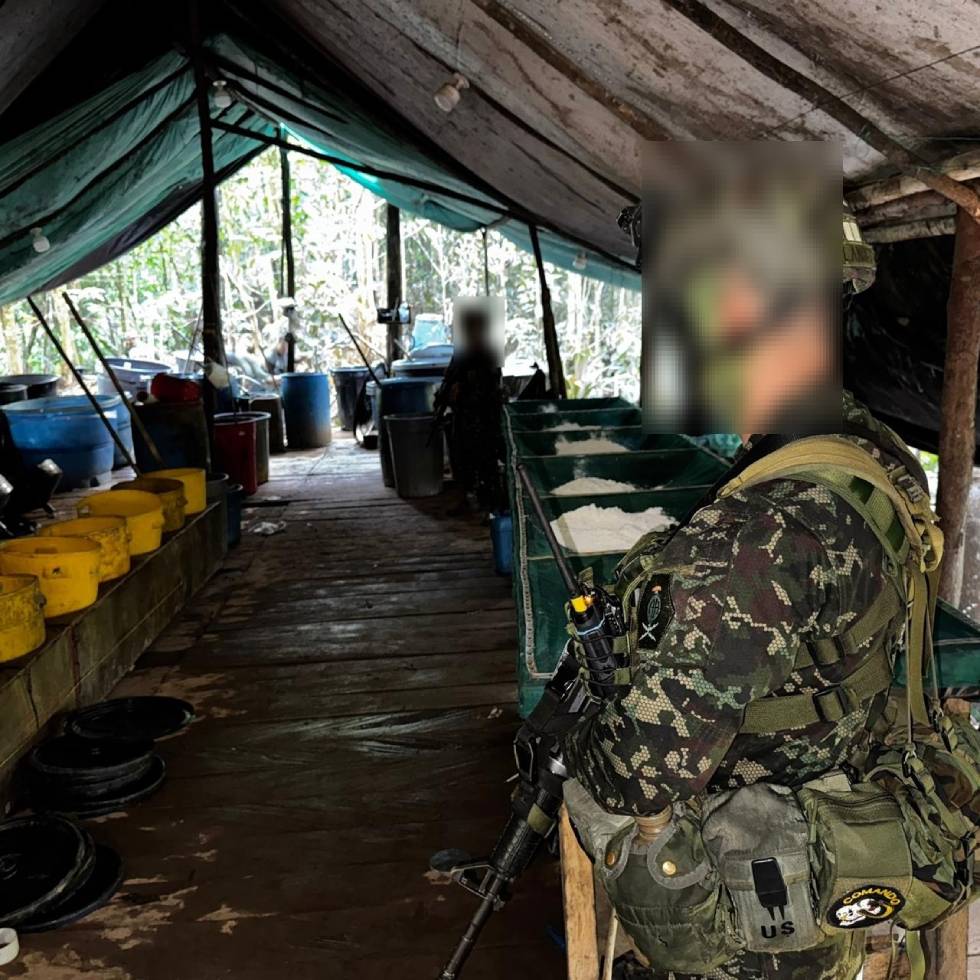Continuan los golpes contra alias Mono Chucho: más de 700 kilogramos de cocaína incautados por el Ejército Nacional y la Policía en San Francisco, Antioquia