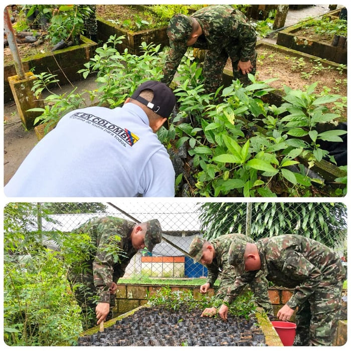 Ejército Nacional y Secretaría de Ambiente fortalecen el vivero de  Florencia para producir 10.000 plántulas