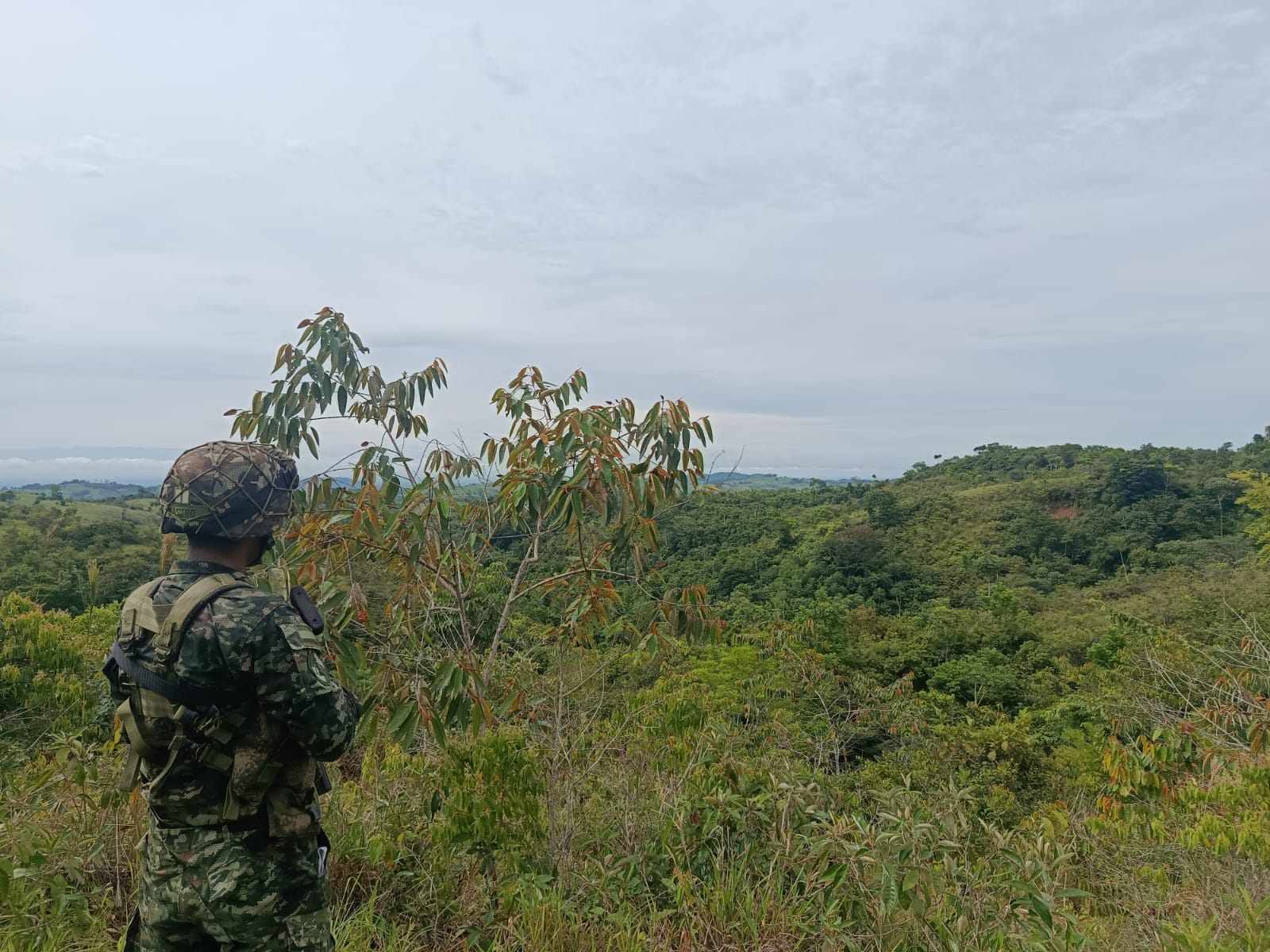 Ejército Nacional fortalece la seguridad en el Nordeste antioqueño y Magdalena Medio en el marco del Plan Democracia 2026