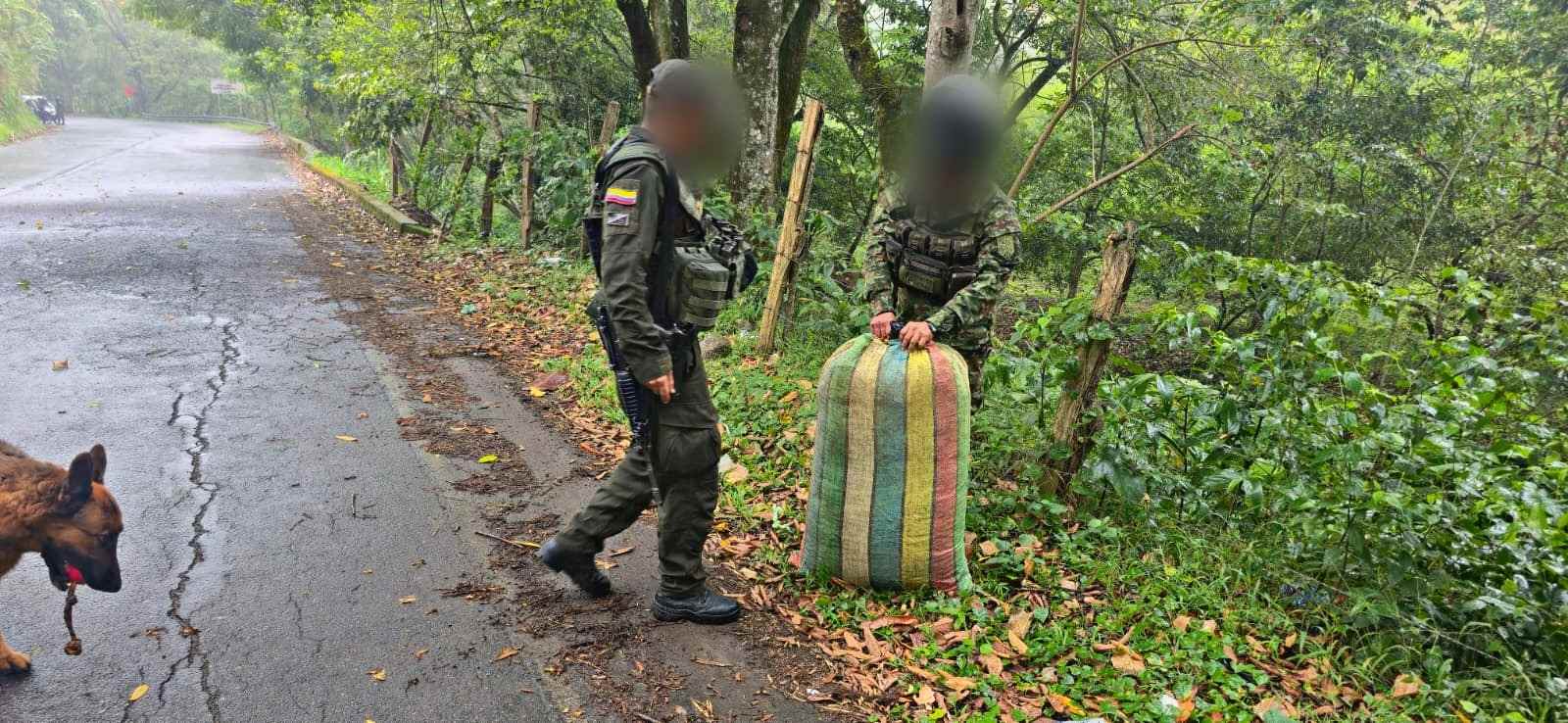 Ejército y Policía frustraron la distribución de más de 25.000 dosis de marihuana en el occidente del Huila