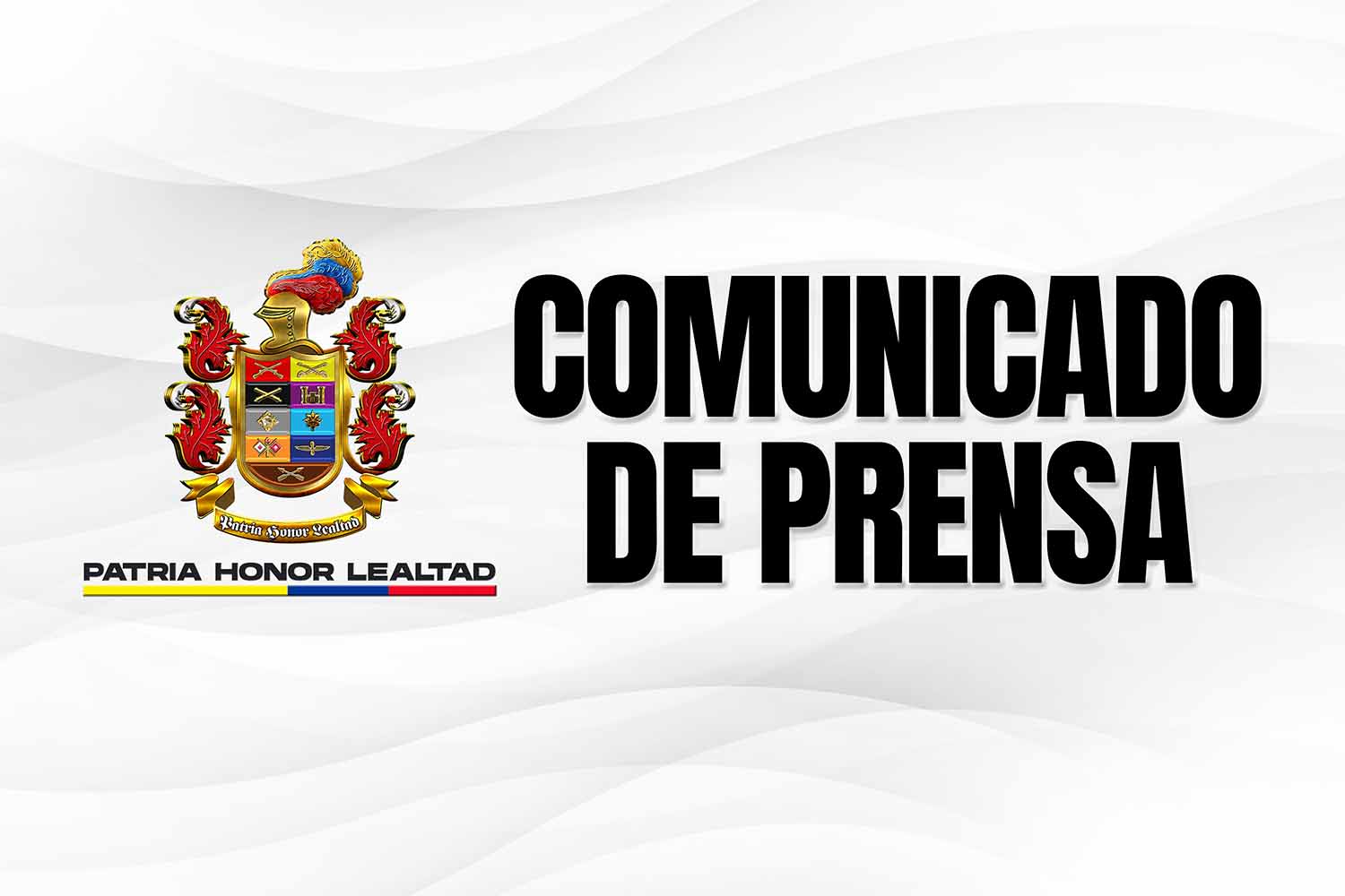 COMUNICADO DE PRENSA