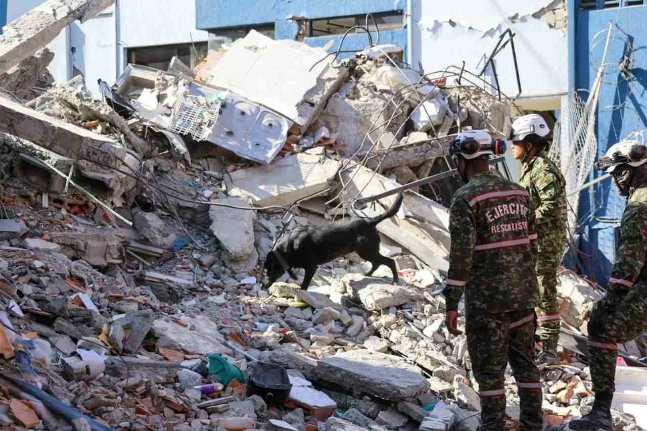 Six dog-handler teams assist the National Army’s search and rescue efforts